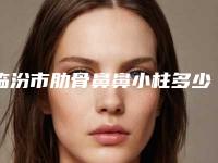 临汾市肋骨鼻鼻小柱多少钱(2025年临汾市肋骨鼻鼻小柱价位表火热一览)